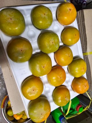 천승준님의 작성글 사진