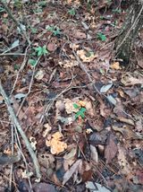 팜모닝 자유주제·자유게시판 게시글 이미지