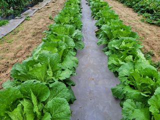 땅땅님의 자유주제 · 자유게시판 작성글 사진