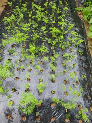 평강님의 자유주제 · 자유게시판 작성글 사진