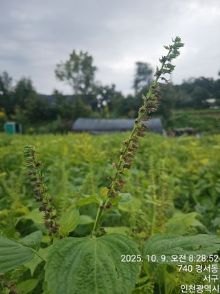 문서연님의 자유주제 · 자유게시판 작성글 사진
