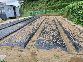 땅땅님의 자유주제 · 자유게시판 작성글 사진