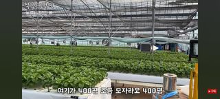 감15576님의 자유주제 · 자유게시판 작성글 사진