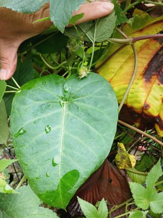 산성골농장님의 자유주제 · 자유게시판 작성글 사진