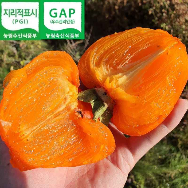 황금빛농원님의 장터 판매 상품 [영암 대봉감 10kg 특품] 첨부 사진