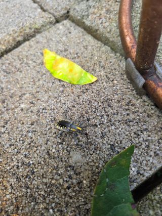 농촌사랑님의 자유주제 · 자유게시판 작성글 사진