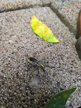 팜모닝 자유주제·자유게시판 게시글 이미지