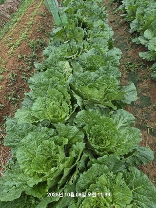 정택님의 자유주제 · 자유게시판 작성글 사진