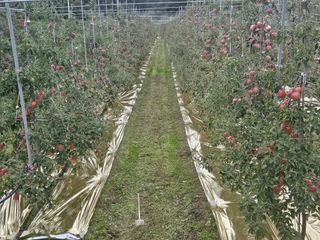 손기홍님의 자유주제 · 자유게시판 작성글 사진