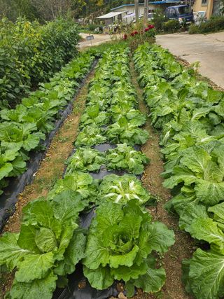충남공주이도은님의 자유주제 · 자유게시판 작성글 사진