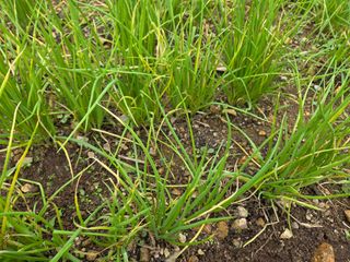 이은경님의 자유주제 · 자유게시판 작성글 사진