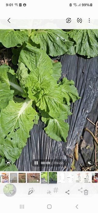 장병규님의 자유주제 · 건의해요 작성글 사진