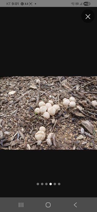 금동이네님의 자유주제 · 자유게시판 작성글 사진