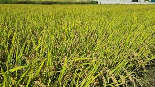 김지철님의 자유주제 · 자유게시판 작성글 사진