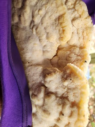 김근미님의 자유주제 · 자유게시판 작성글 사진