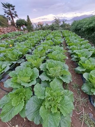 윤형곤님의 자유주제 · 자유게시판 작성글 사진