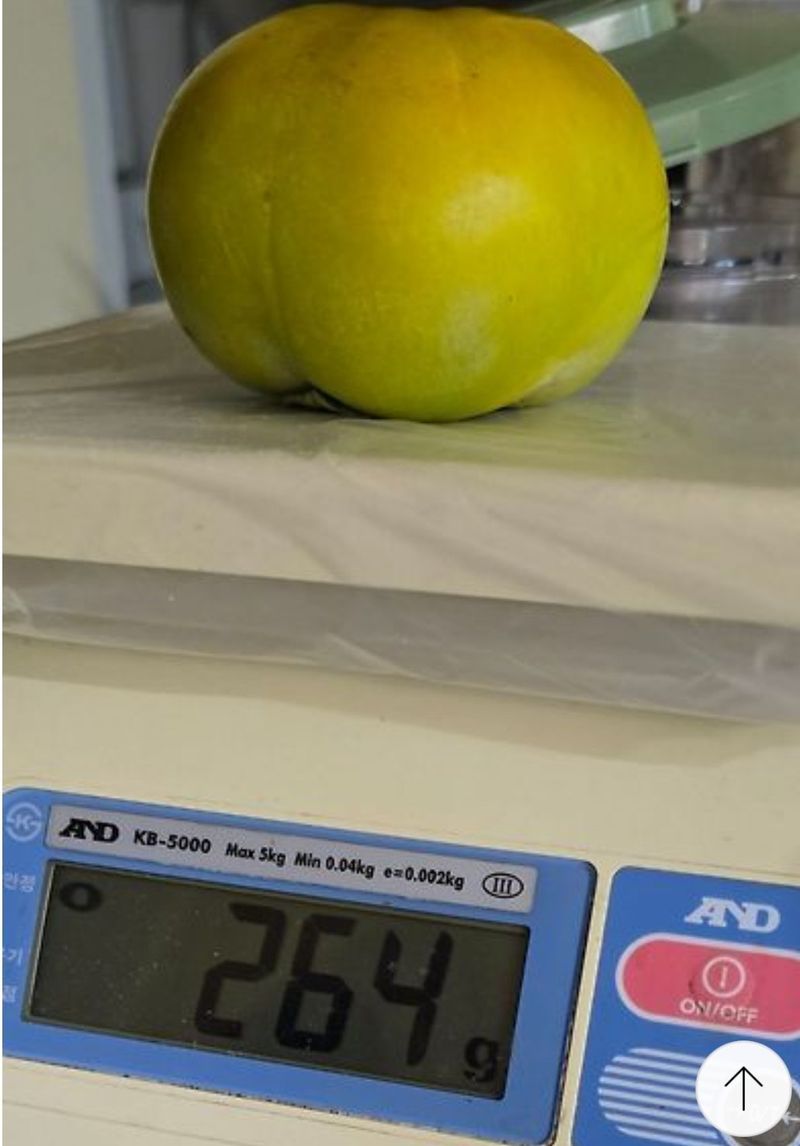 사랑꽃농장님의 장터 판매 상품 [대과)태추 단감2.5kg(9과 내외)] 첨부 사진