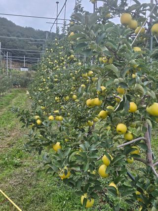 손기홍님의 자유주제 · 자유게시판 작성글 사진