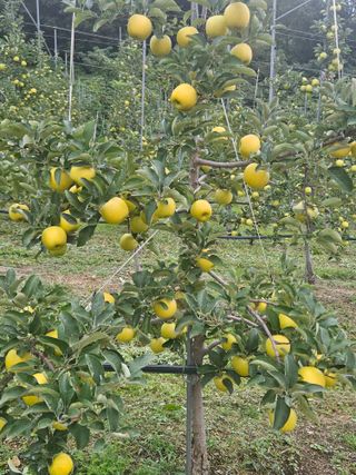 손기홍님의 자유주제 · 자유게시판 작성글 사진