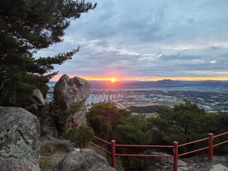 제주농부님의 자유주제 · 자유게시판 작성글 사진