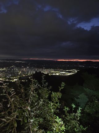 제주농부님의 자유주제 · 자유게시판 작성글 사진