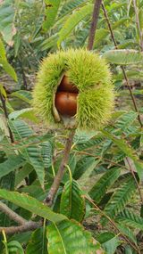 팜모닝 자유주제·자유게시판 게시글 이미지