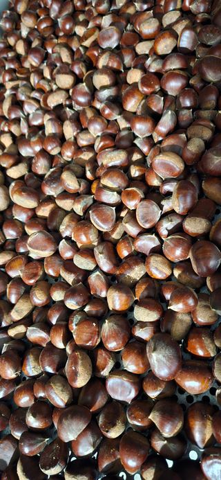 임 촌장.님의 자유주제 · 자유게시판 작성글 사진