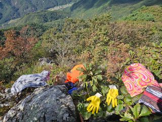 백용기님의 자유주제 · 자유게시판 작성글 사진