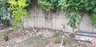 이주현님의 자유주제 · 자유게시판 작성글 사진