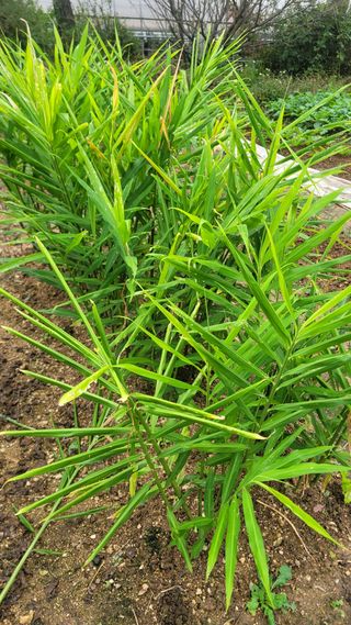 장석오님의 자유주제 · 자유게시판 작성글 사진