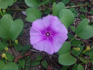 안길원님의 자유주제 · 자유게시판 작성글 사진