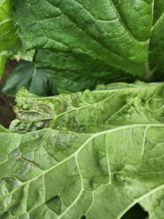 대구중구삼식할머니님의 자유주제 · 건의해요 작성글 사진