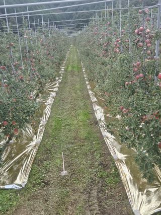 손기홍님의 자유주제 · 자유게시판 작성글 사진