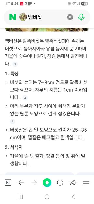 금동이네님의 자유주제 · 자유게시판 작성글 사진