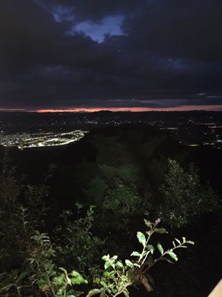 제주농부님의 자유주제 · 자유게시판 작성글 사진