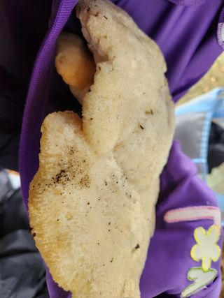 김근미님의 자유주제 · 자유게시판 작성글 사진