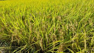 김지철님의 자유주제 · 자유게시판 작성글 사진