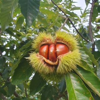 안길원님의 자유주제 · 자유게시판 작성글 사진