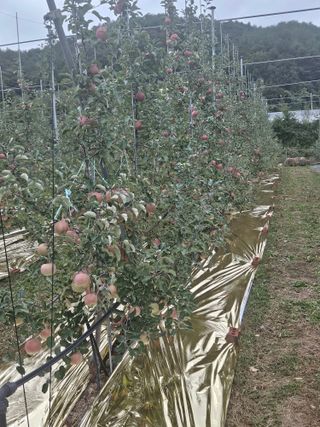 손기홍님의 자유주제 · 자유게시판 작성글 사진