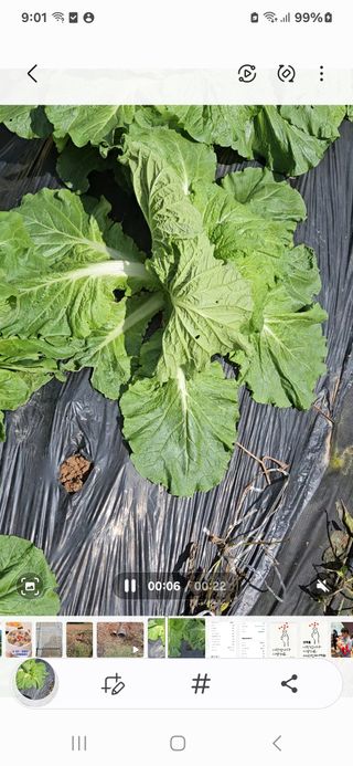 장병규님의 자유주제 · 건의해요 작성글 사진