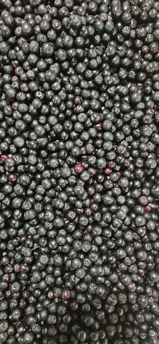 임 촌장.님의 자유주제 · 자유게시판 작성글 사진