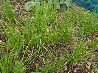 이은경님의 자유주제 · 자유게시판 작성글 사진