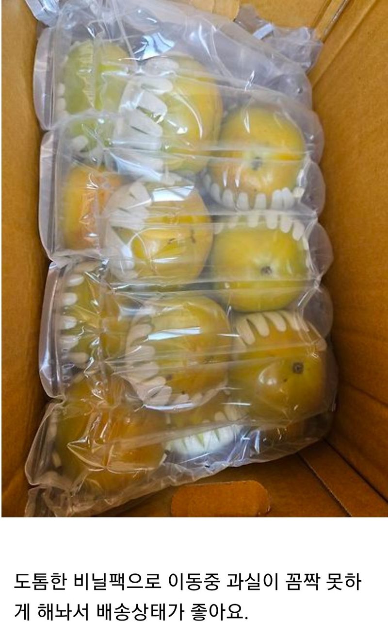 사랑꽃농장님의 장터 판매 상품 [대과)태추 단감2.5kg(9과 내외)] 첨부 사진