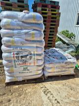 팜모닝 자유주제·자유게시판 게시글 이미지