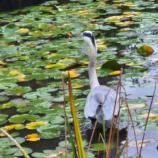 안길원님의 자유주제 · 자유게시판 작성글 사진