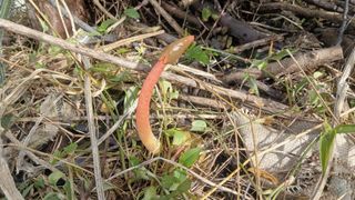 금동이네님의 자유주제 · 자유게시판 작성글 사진