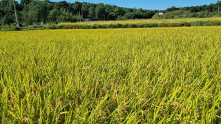 김지철님의 자유주제 · 자유게시판 작성글 사진