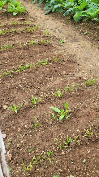 장석오님의 자유주제 · 자유게시판 작성글 사진