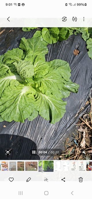 장병규님의 자유주제 · 건의해요 작성글 사진