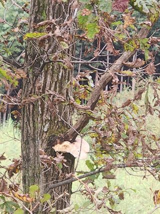 김근미님의 자유주제 · 자유게시판 작성글 사진